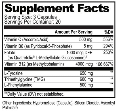 Dopamine Brain Food